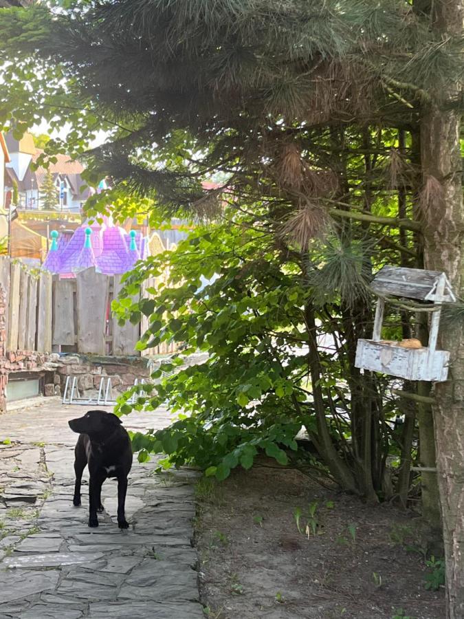 Willa Rycerz Burg Niedzica Exterior foto